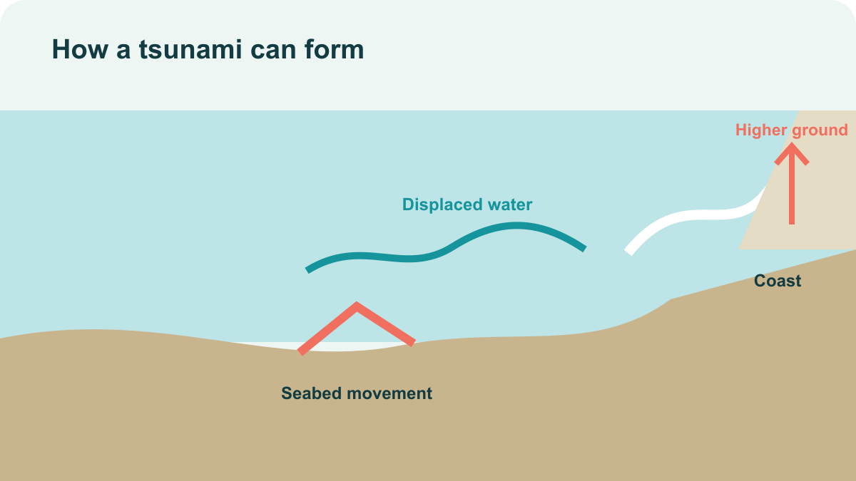 Sea cross-section showing seabed uplift, displaced water and a wave approaching the coast